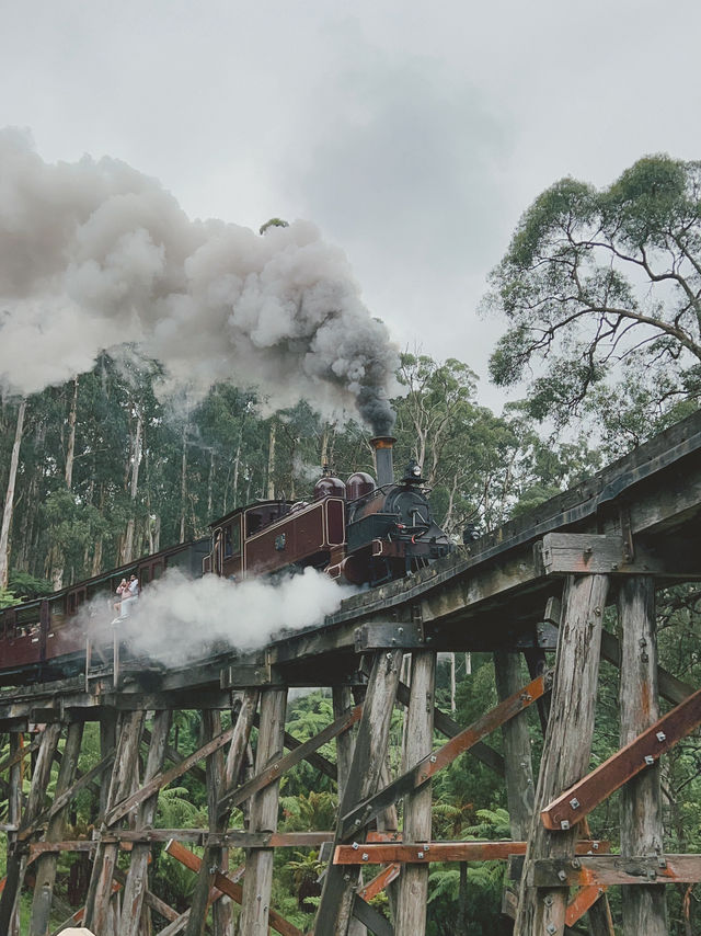 Puffing Billy Railway