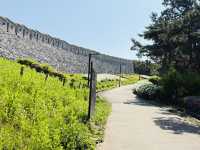 Namsan Baekbeom Square: A Historical and Scenic Urban Oasis