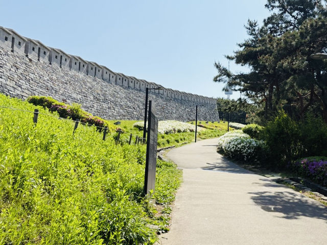 Namsan Baekbeom Square: A Historical and Scenic Urban Oasis