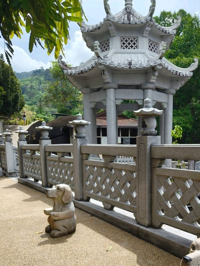 Peaceful Temple Views Without a Price Tag