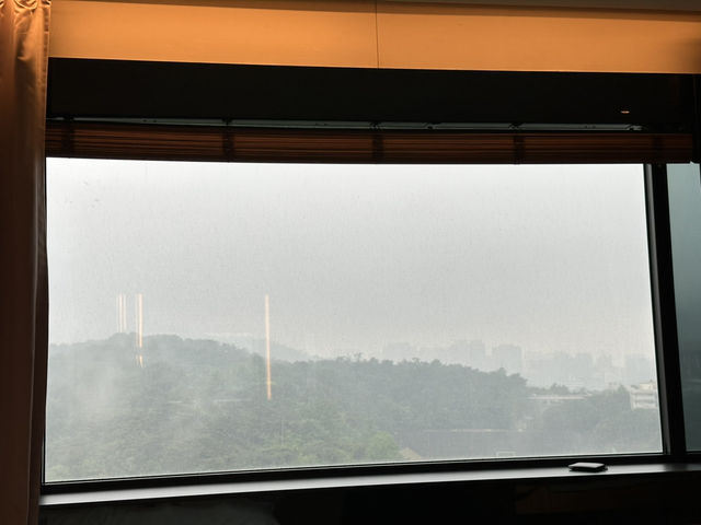 ☔ 서울신라호텔 호캉스 - 비 오는 날의 특별한 휴식 🏨