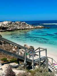 🏝️ Rottnest Island, Perth – A Perfect Day Trip Escape 🌊🐾
