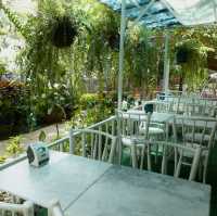  Cup Fine Day Coffee & Cuisine ก่อนขึ้นดอยคำ