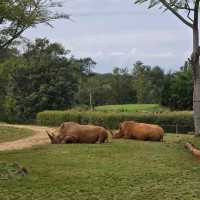 Australia Zoo – Sunshine Coast, QLD
