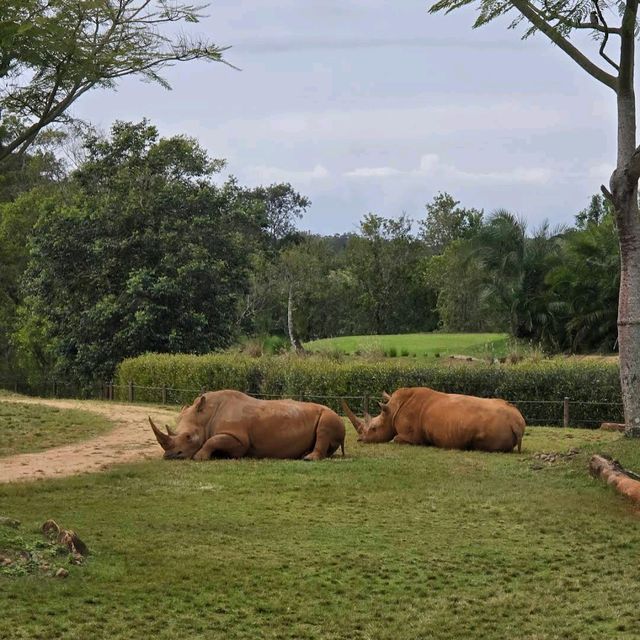 Australia Zoo – Sunshine Coast, QLD