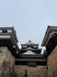 松山｜3個家族4種家徽 多次火災重建的機關巧妙的松山城 