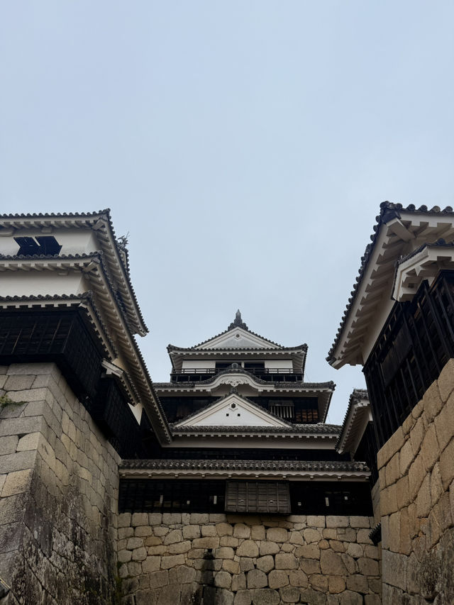 松山｜3個家族4種家徽 多次火災重建的機關巧妙的松山城 