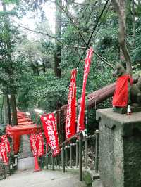 【鎌倉　佐助稲荷神社から源氏山へのライトトレッキング】
