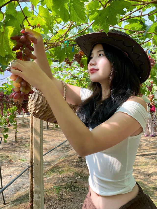 เที่ยวเขาใหญ่ฟีลเมืองนอกกันค่า 💕