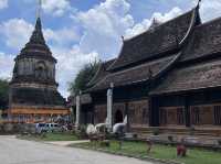 วัดโลกโมฬี เสน่ห์ล้านนาโบราณกลางเมืองเชียงใหม่