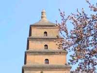🇨🇳 เจดีย์ห่านป่าใหญ่ (Giant Wild Goose Pagoda)