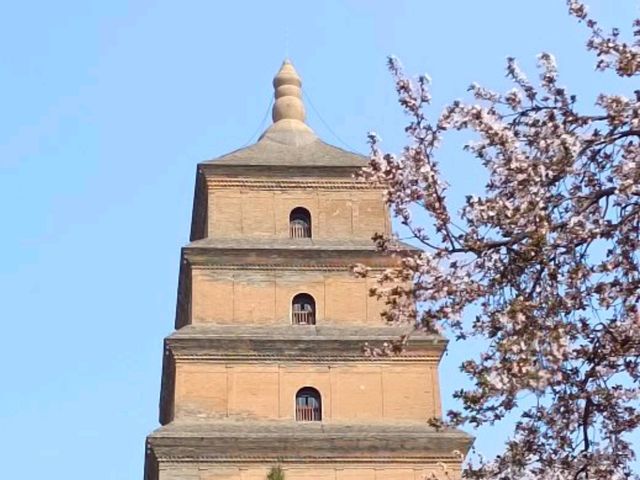 🇨🇳 เจดีย์ห่านป่าใหญ่ (Giant Wild Goose Pagoda)