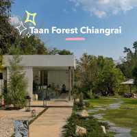 คาเฟ่ใกล้น้ำตกขุนกรณ์ 🌳Taan forest cafeเชียงราย