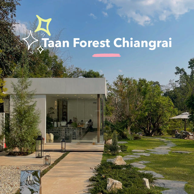 คาเฟ่ใกล้น้ำตกขุนกรณ์ 🌳Taan forest cafeเชียงราย