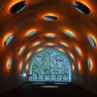 Tunnel of Light จุดเช็คอินสุดปังแห่งเมือง Niigata🇯🇵