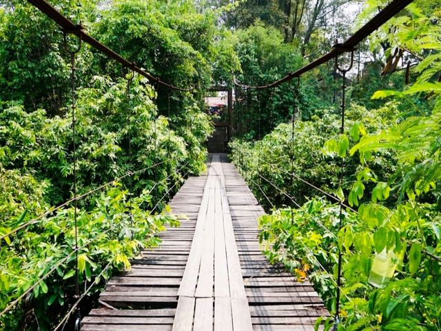 🏞️ สวนรุกขชาติวังก้านเหลือง เที่ยวลพบุรี