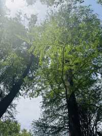 A Literary Escape in the Heart of the City – Lu Xun Park, Shanghai