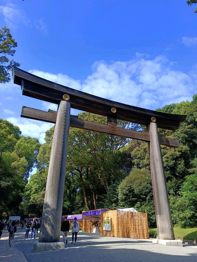分享❤️東京六天五夜自由行行程！