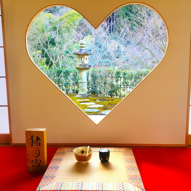 【京都】静かで鮮やかな寺院を参拝