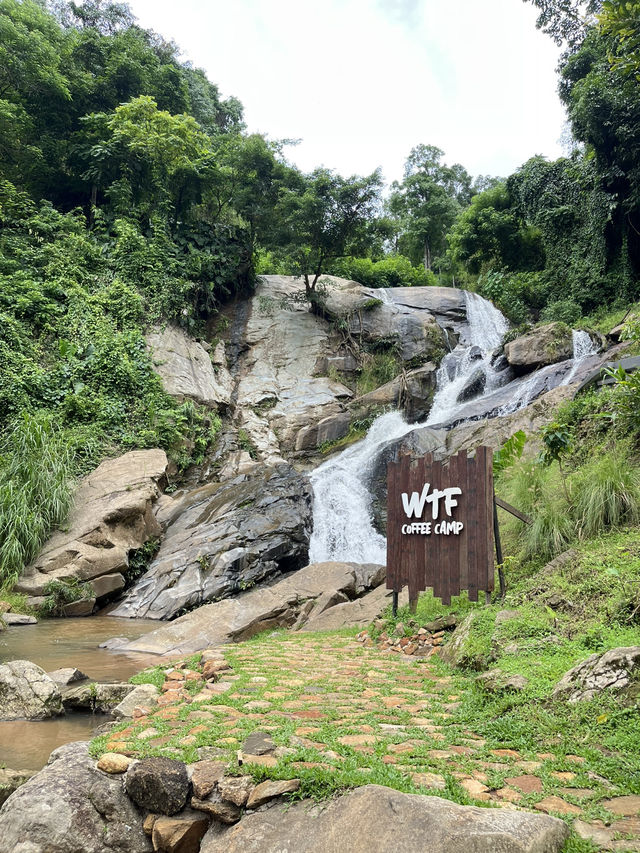 WTF คาเฟ่ เชียงใหม่