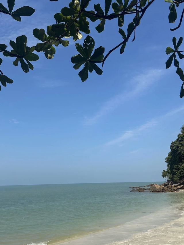 A Refreshing & Budget-Friendly Adventure – Tanjung Tuan Recreational Forest, Port Dickson