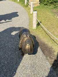 【愛知】ジブリの世界観！