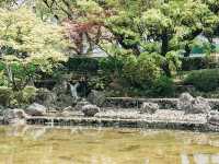 橫濱🇯🇵彼我庭園