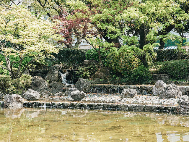 橫濱🇯🇵彼我庭園