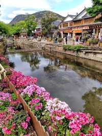 花の町、世界遺産麗江