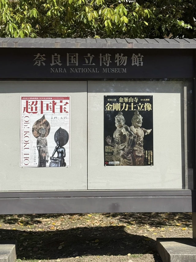 A Tranquil Cultural Treasure – My Visit to Nara National Museum, Nara