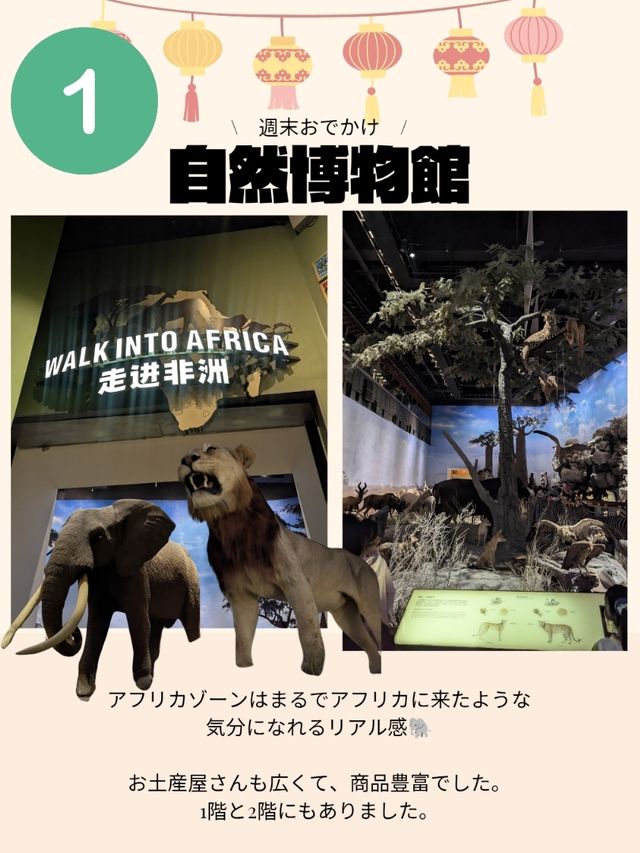 🇨🇳超巨大！自然博物館へ