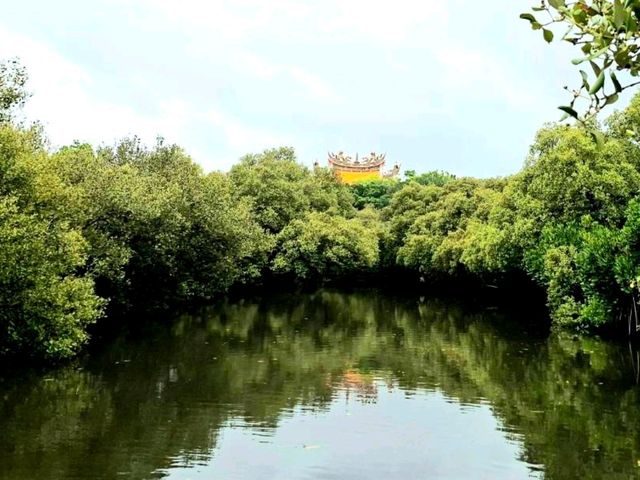 ล่องเรือชมป่าชายเลน Sicao Green Tunnel✨️