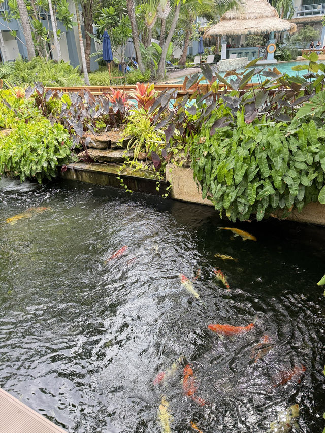The Peri Hotel Hua Hin: กลับมาเยือนอีกครั้ง