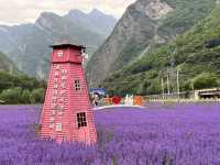   💜 Lavender Fields + Ancient Qiang Vibes at Yangliu Village