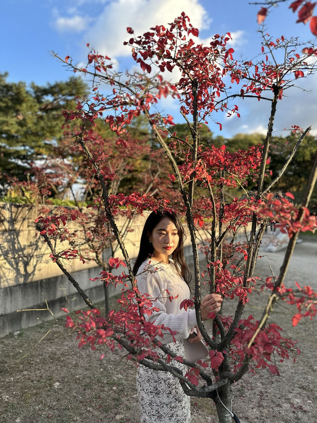 서울 여행 가볼만한 곳 추천