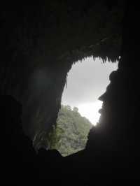 【Mulu Adventure：走进砂拉越的奇幻之境】 🌏⛰️🦇🌿