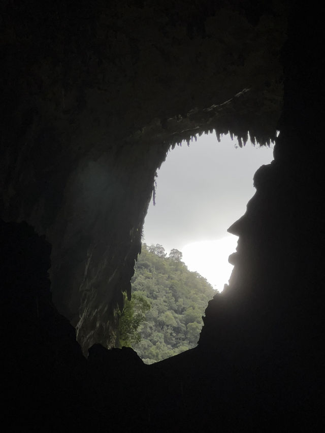 【Mulu Adventure：走进砂拉越的奇幻之境】 🌏⛰️🦇🌿