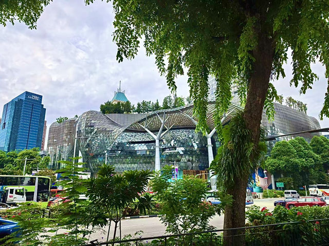 เที่ยวสิงคโปร์ 🇸🇬