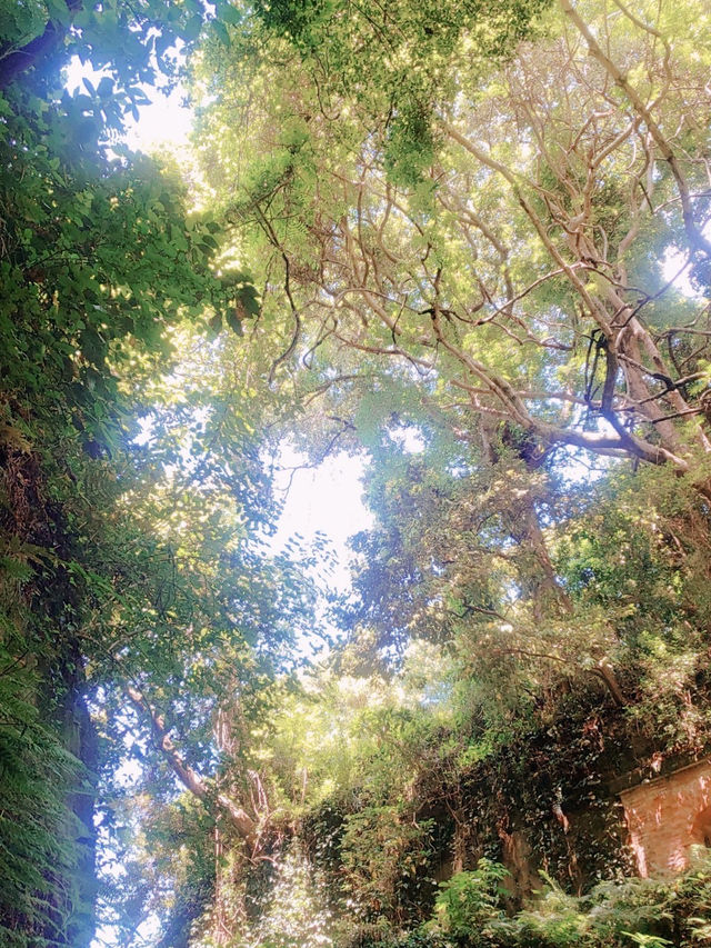 幻想の島 猿島