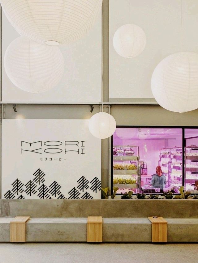Mori Kohi Malaysia