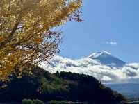 富士山。天空鳥居。楓葉