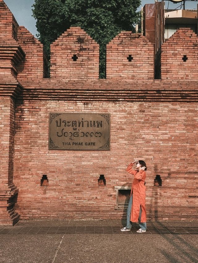 Strolling Through Time at Tha Phae Gate, Chiang Mai 🏯