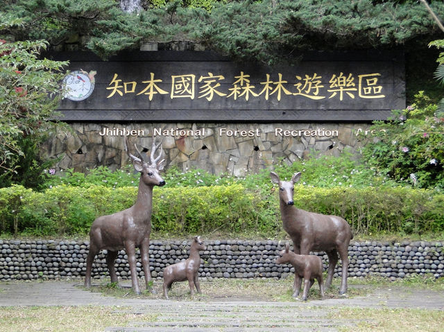 森林遊樂園區系列 PART1️⃣4️⃣