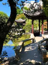 🌿 Chinese Garden Singapore – Tranquility in the City! 🏯