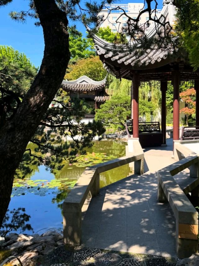 🌿 Chinese Garden Singapore – Tranquility in the City! 🏯