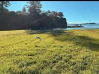 🚂 Getting to Kiama (Car-Free!)