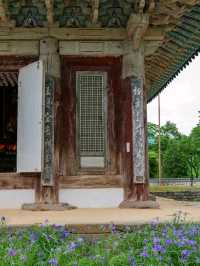 Ancient Feels at Muryangsa Temple