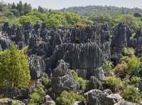 Must Visit - Magical Sone Forest Yunnan , UNESCO site 