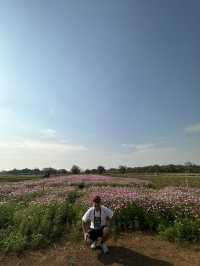 2 Days in Khao Yai: Wine, Flowers & Hidden Gems – My Private Tour Experience from Bangkok 🍷🌻
