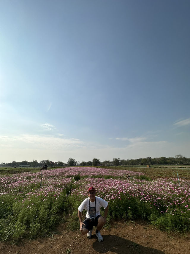 2 Days in Khao Yai: Wine, Flowers & Hidden Gems – My Private Tour Experience from Bangkok 🍷🌻